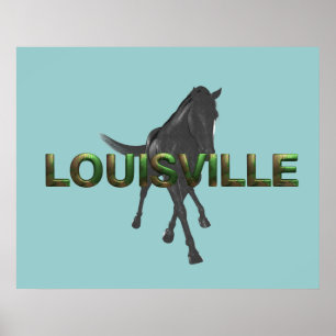 Poster TEE Louisville