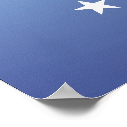 Poster TEE Parti de la Constitution (Coin)