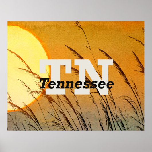 Poster TEE Tennessee (Devant)