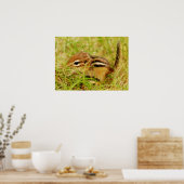 Poster Teeny Tiny Baby Chipmunk (Cuisine)