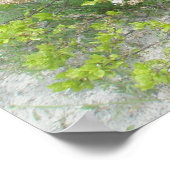 Poster tegen Dunes IBSP (Hoek)