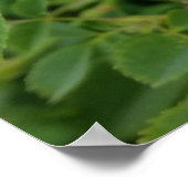 Poster Teinte rose de printemps (Coin)