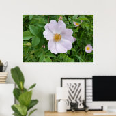 Poster Teinte rose de printemps (Bureau à domicile)