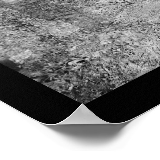 Poster Télégraphe Batterie Wagon près de Petersburg 1864 (Coin)