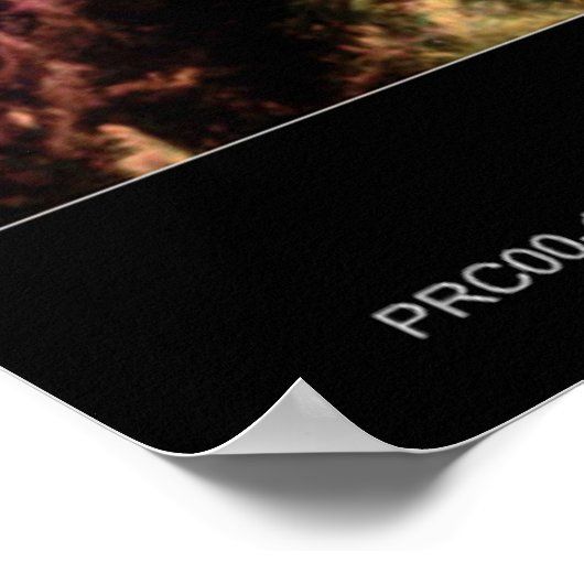 Poster Télescope Nebula Hubble Crab (Coin)