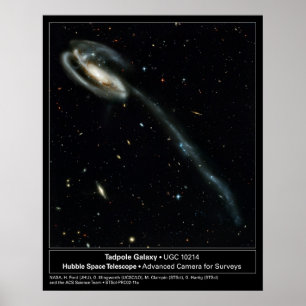 Poster Télescope Tadpole Galaxy Hubble Photo