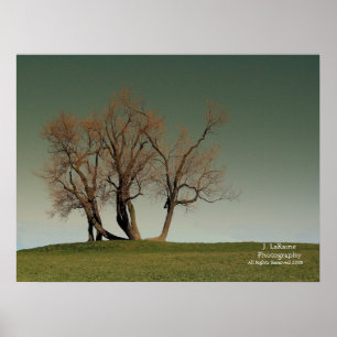Poster Tempête