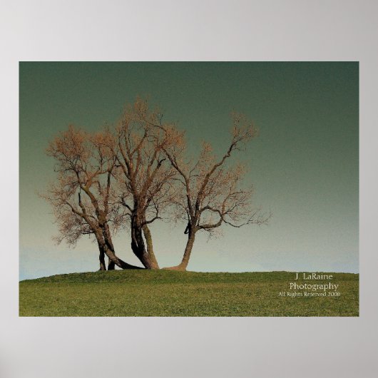 Poster Tempête (Devant)