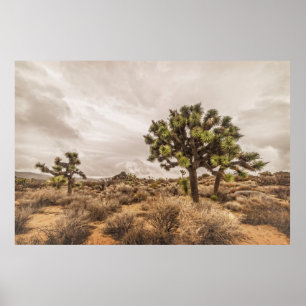 Poster Tempête à Joshua Tree