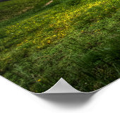 Poster Tempête Au-Dessus Du Potomac (Coin)