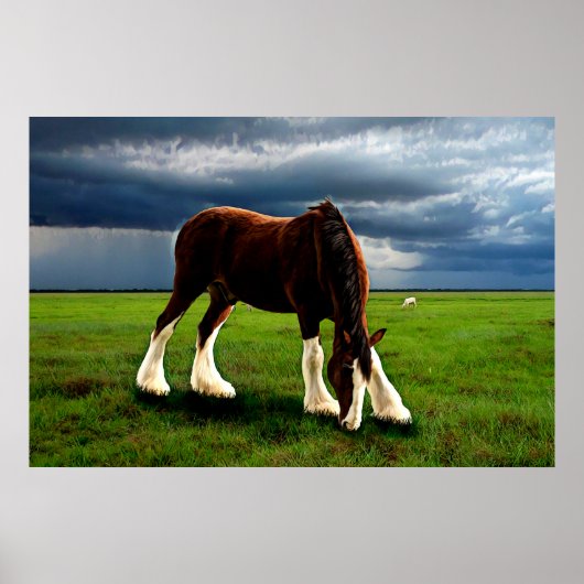 Poster Tempête de Clydesdale (Devant)