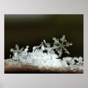 Poster Tempête de neige 2009 de flocon de neige