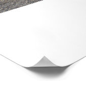 Poster Tempête de Pontiac 1966 (Coin)