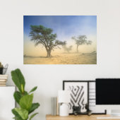 Poster Tempête De Sable Dans Le Désert Du Kalahari, Kgala (Bureau à domicile)