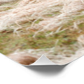 Poster Tempête de verglas dans le Tennessee - photo Pitto (Coin)