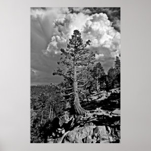 Poster Tempête d'été Lac Tahoe,