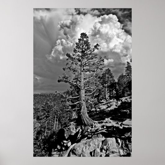 Poster Tempête d'été Lac Tahoe, (Devant)