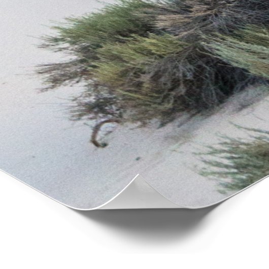 Poster Tempêtes Sur Les Sables Blancs (Coin)