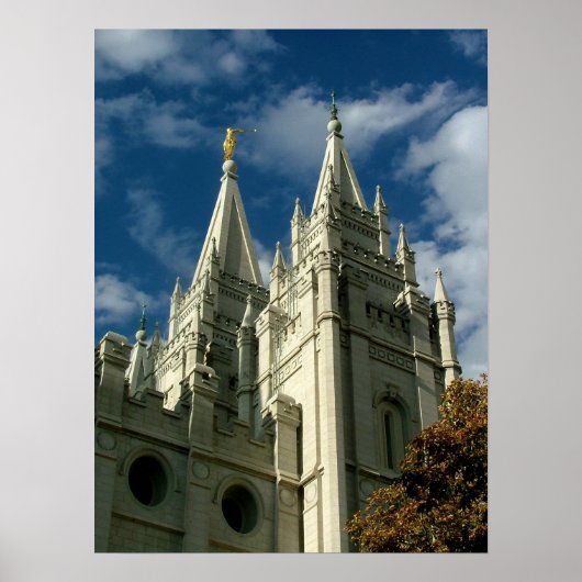 Poster Temple (Devant)