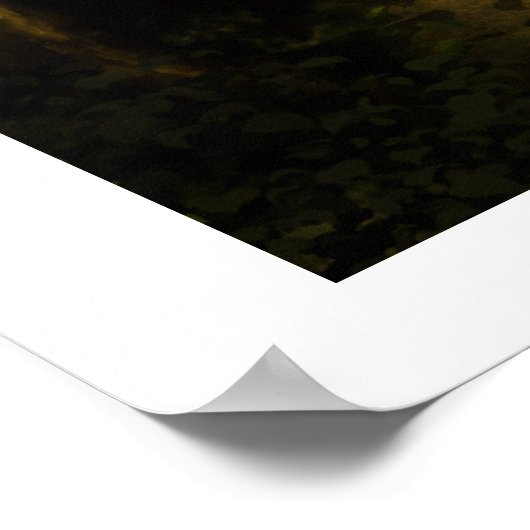 Poster Temple caché (Coin)