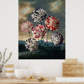 Poster Temple D'Art Botanique De Flora Carnations (Cuisine)