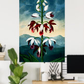 Poster Temple D'Art Botanique De Flora Limodoron (Bureau à domicile)