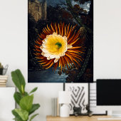 Poster Temple D'Art Botanique De Flora Nuit Frappant Cere (Bureau à domicile)