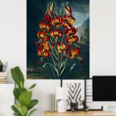 Poster Temple D'Art Botanique De Flora Superbe Lily (Bureau à domicile)