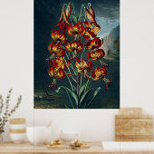 Poster Temple D'Art Botanique De Flora Superbe Lily (Cuisine)
