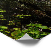 Poster Temple de Mormon (Coin)