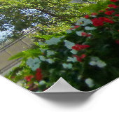 Poster Temple de Mormon (Coin)