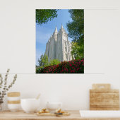 Poster Temple de Mormon (Cuisine)