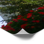 Poster Temple de Mormon (Coin)