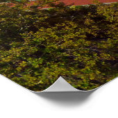 Poster Temple de Mormon (Coin)