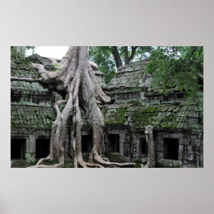 Poster temple de ta prohm au cambodge