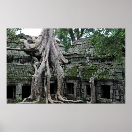 Poster temple de ta prohm au cambodge (Devant)