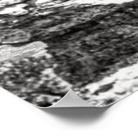 Poster Temple de Vishnu (Coin)