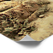 Poster Temple en ruine à Ballbeck (Coin)