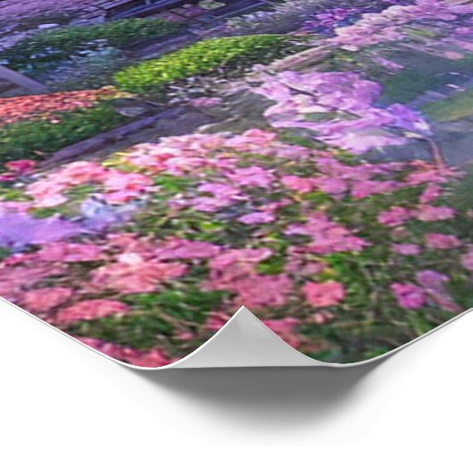 Poster Temple Entouré de Sakura Trees (Coin)