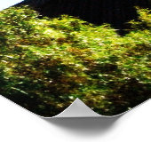 Poster temple lds mormon las vegas nv (Coin)