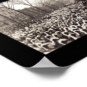 Poster Temple maçonnique Detroit Photo 1920 (Coin)