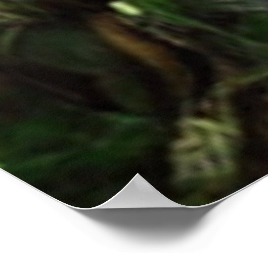 Poster Temple maya (Coin)