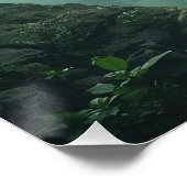 Poster Temple of Moss and Mist (Coin)