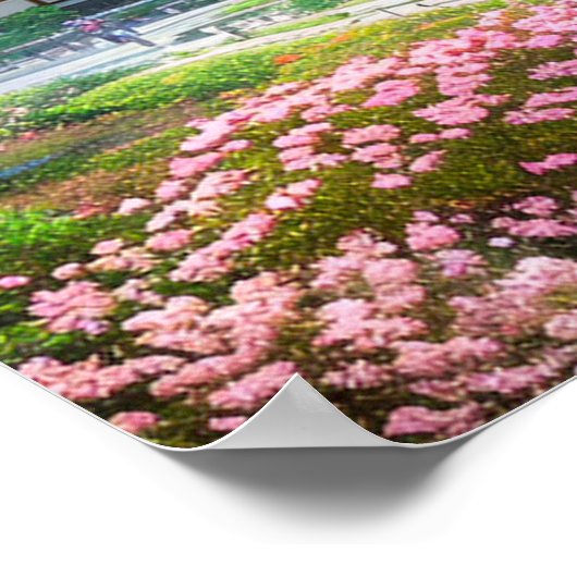 Poster Temple paisible près de la forêt (Coin)