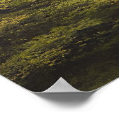 Poster Temple - Peinture colorée (Coin)