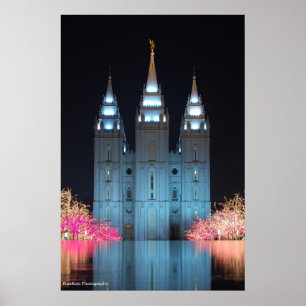 Poster Temple reflété