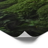 Poster Temple Shisendo - Kyoto Japon (Coin)