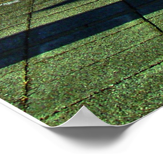 Poster Temple Swaminarayan Londres (Coin)