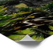 Poster Temple, Tulum, Mexique (Coin)