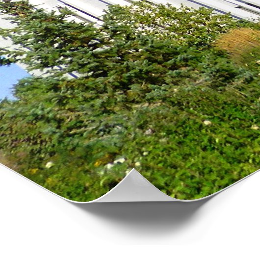 Poster Temple Twin Falls LDS (Coin)